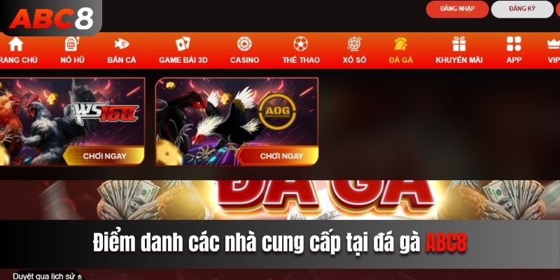 Điểm danh các nhà cung cấp tại đá gà ABC8