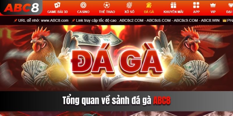 Tổng quan về sảnh đá gà ABC8